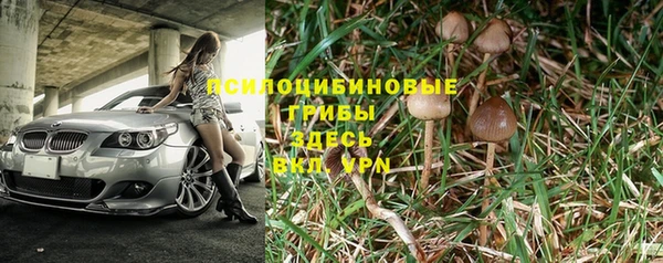 mdma Дмитров