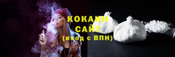 мет Дмитриев