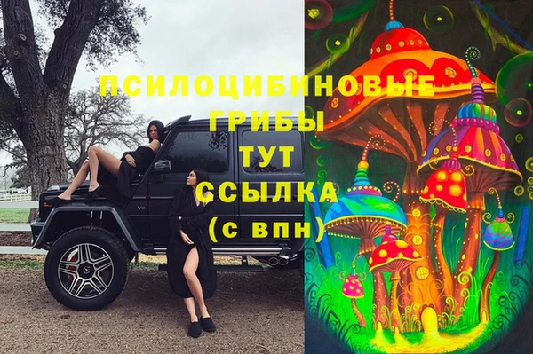 мдпв Дмитровск