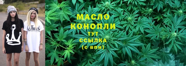мет Дмитриев