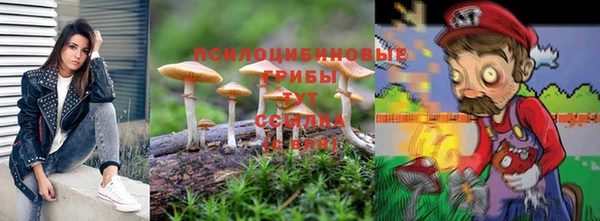 мдпв Дмитровск